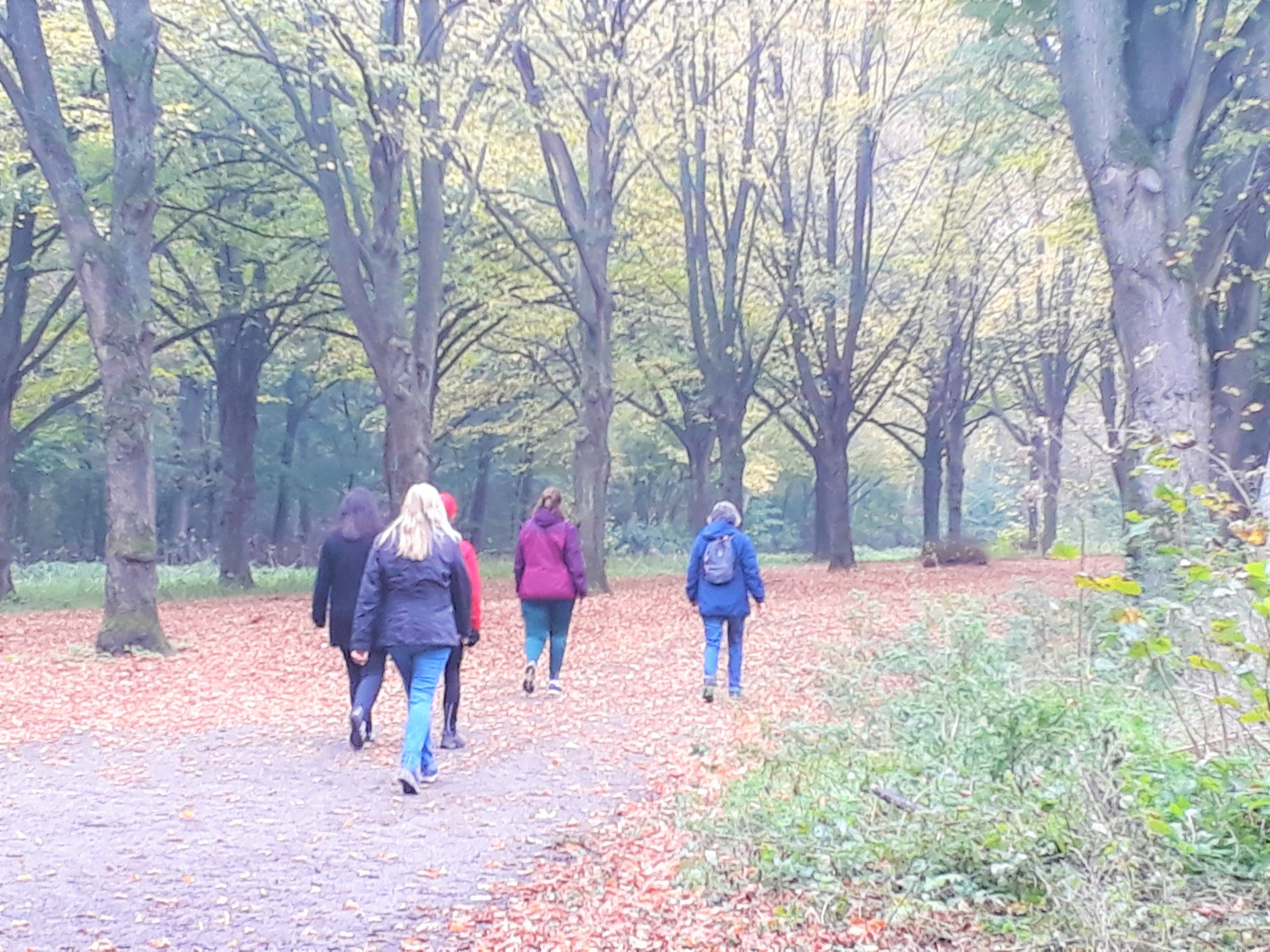 Fitstap deelnemers aan het wandelen in het Amsterdamse Bos, MindWalker