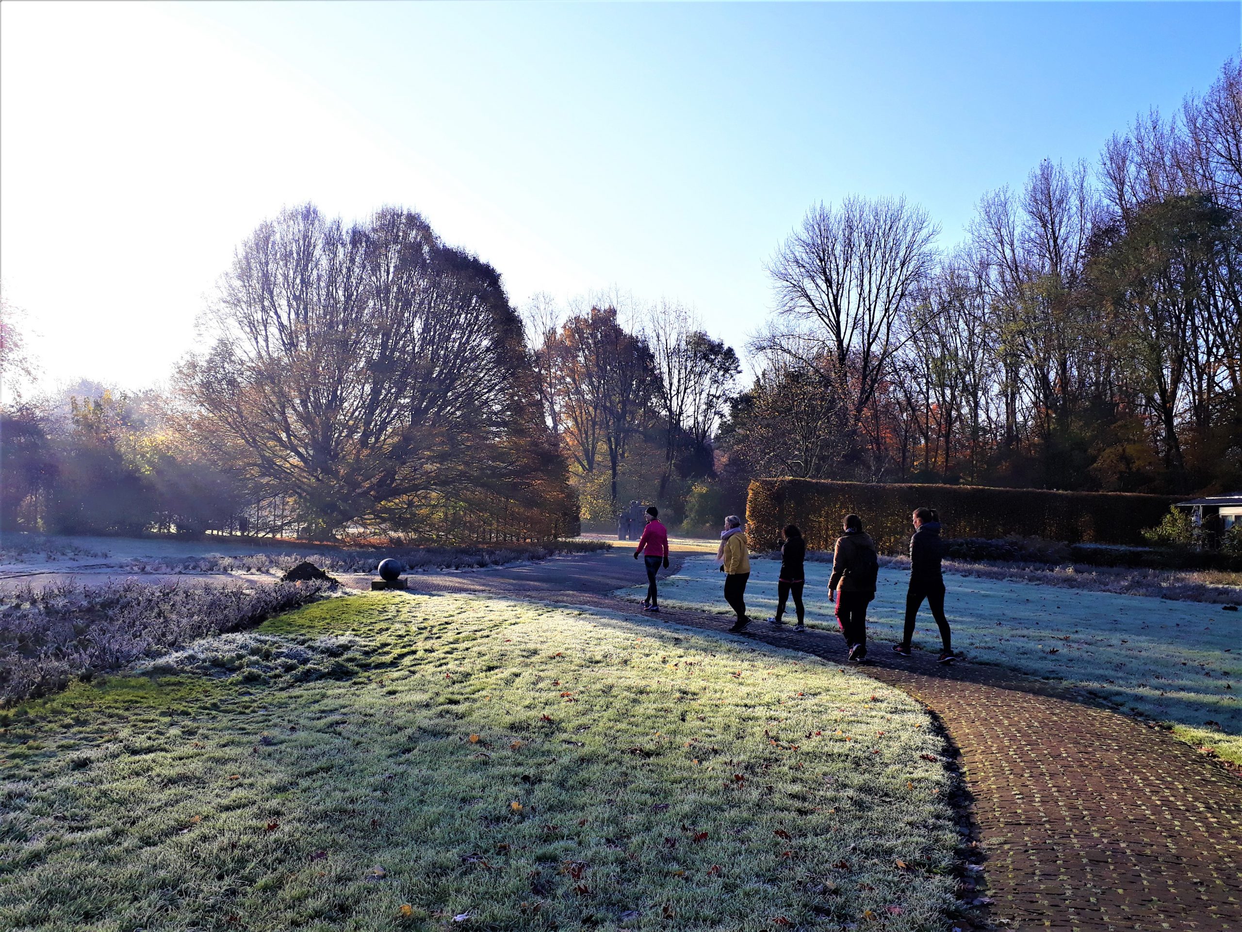 MindWalker, Mindful wandelen in Amsterdam, winter