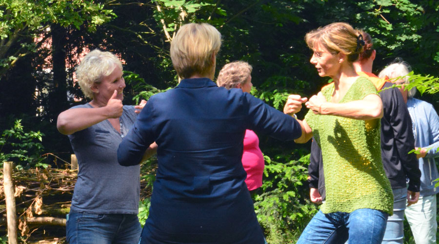 FitStap, cognitieve fitness, fit worden in Amsterdam, MindWalker