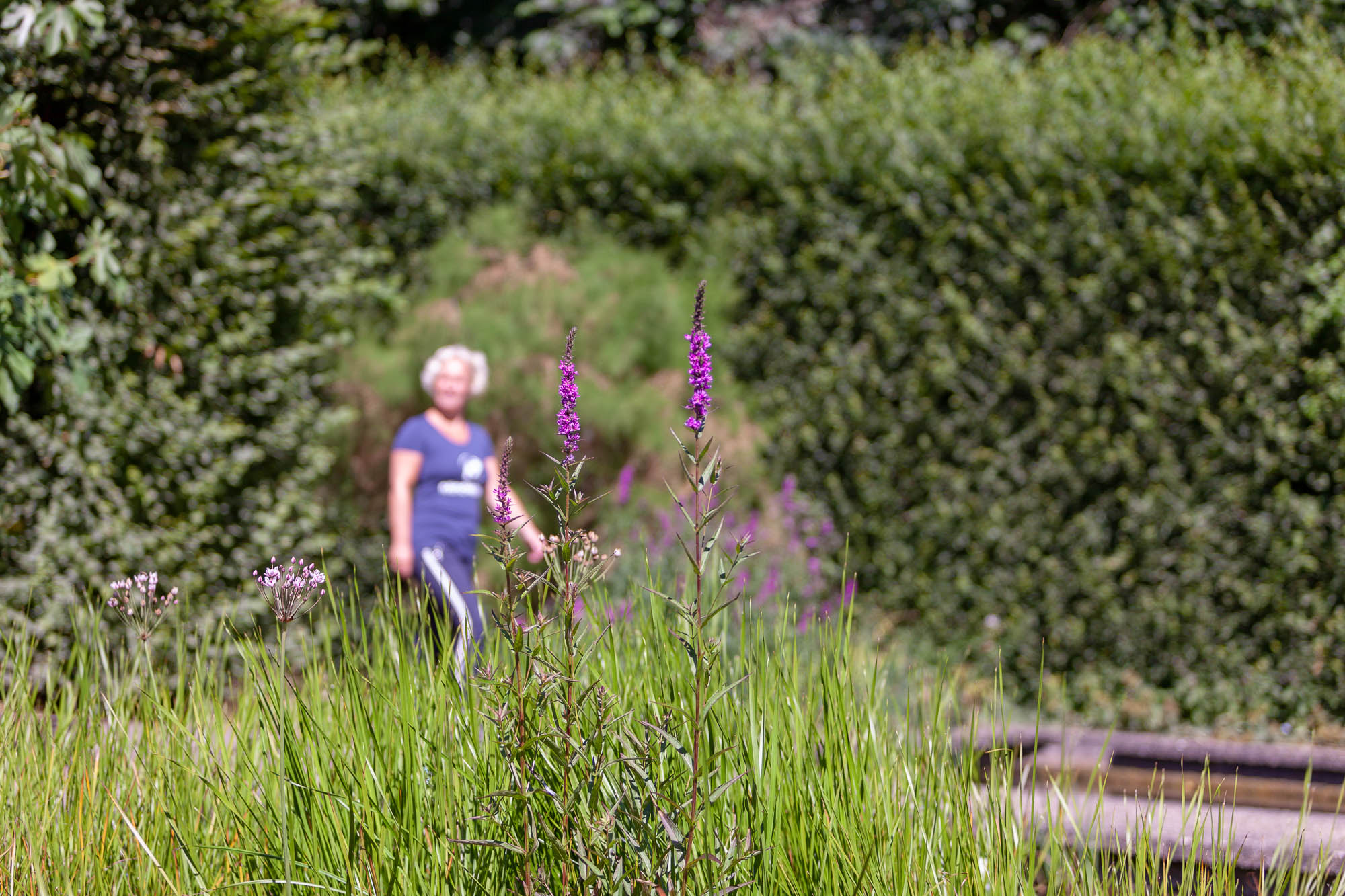 Wandelcoach in de buurt van Amsterdam