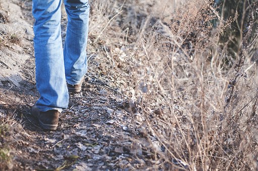 MindWalker Wandelcoaching. Een praktijkvoorbeeld in de natuur.